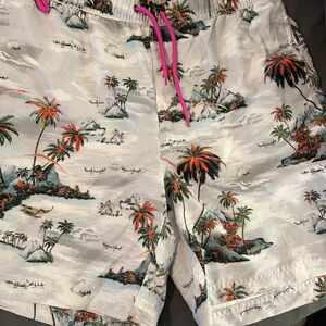 Island Escape Men's Swim Trunks